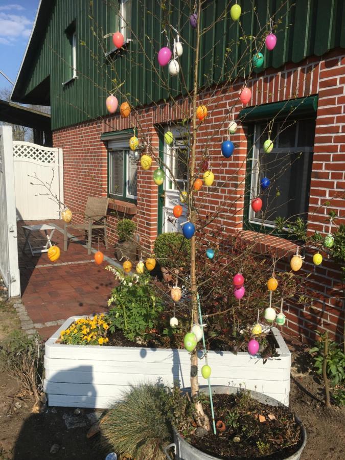 Eggstedt Ferienhaus Staben מראה חיצוני תמונה